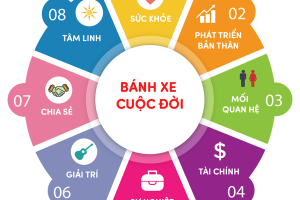 Bác sĩ CKII Nguyễn Thị Thái chia sẻ về Bánh xe cuộc đời